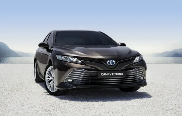Picture Toyota, Hybrid, Camry, 2019, Toyota Camry Hybrid 2019