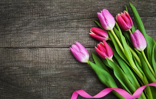 Flowers, bouquet, colorful, tulips, pink, flowers, tulips, spring