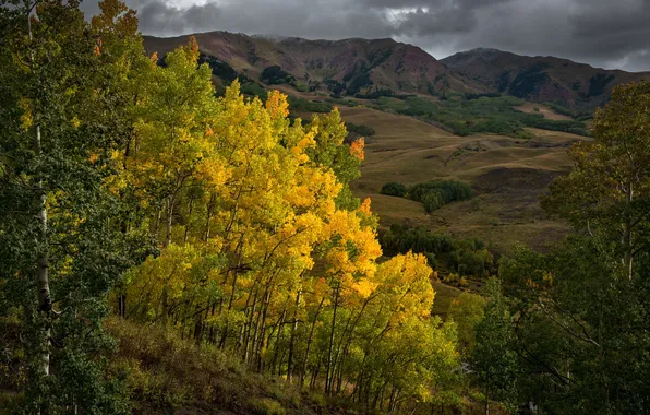 Picture autumn, leaves, trees, mountains, clouds, paint, slope, Colorado