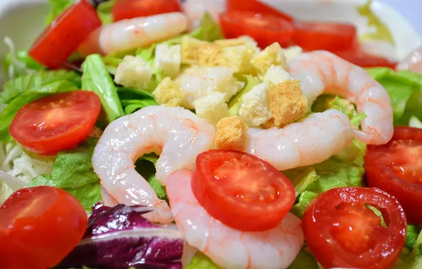 Tomatoes, salad, shrimp