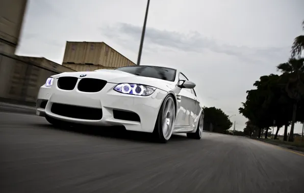 Picture road, white, the sky, palm trees, bmw, BMW, white, road