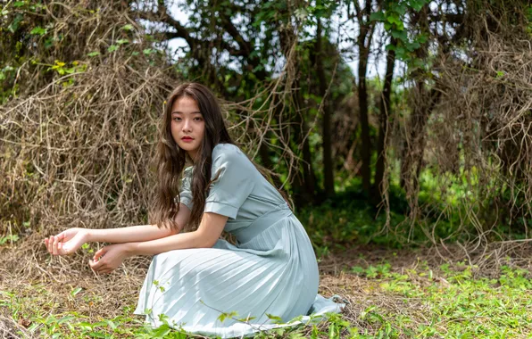 Girl, hair, dress, Asian