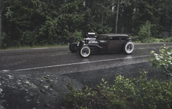 Picture forest, rain, ford, Ford, rat, rod, rod, rust