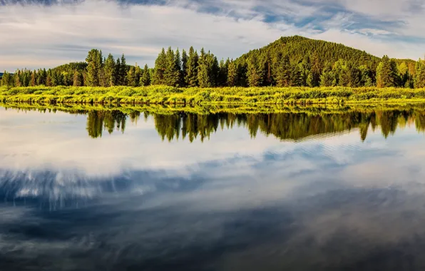 Picture mountains, lake, island, panorama, Grand Teton, Grand Teton National Park, Oxbow