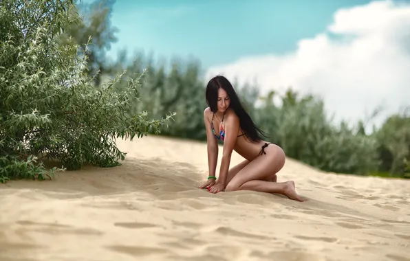 Sand, girl, pose, figure, bikini, the bushes, Renat Khismatulin