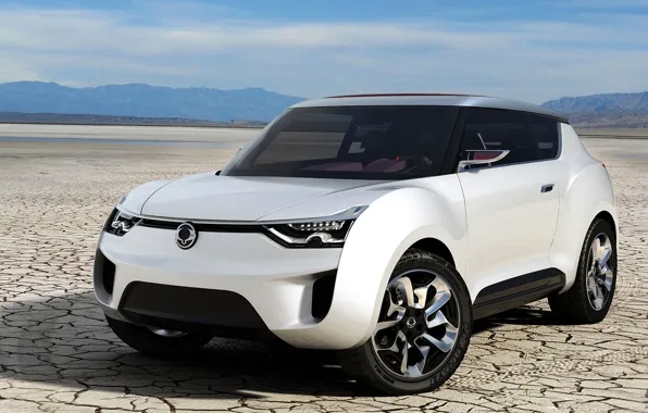 The concept, crossover, Ssang Yong