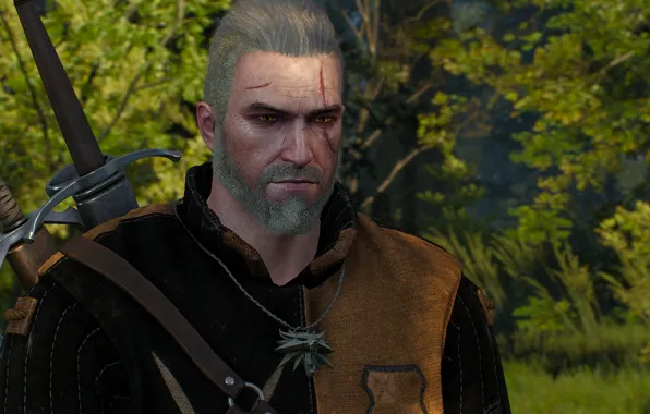Nature, The Witcher, Geralt of Rivia, The Witcher 3, The Witcher 3