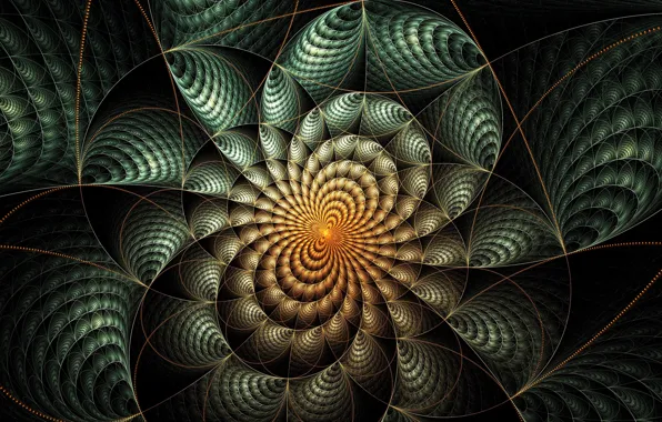 Picture rays, line, pattern, symmetry