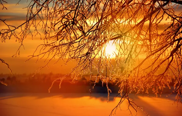 Winter, the sun, sunset, sunset, winter, Sunrises