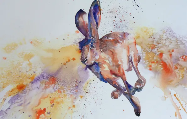Picture style, hare, watercolor, jump