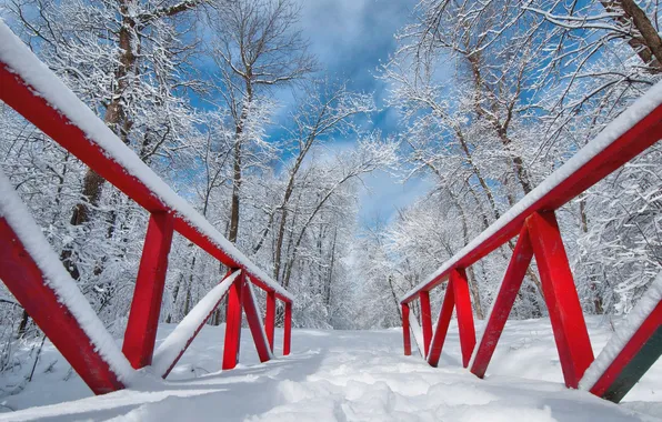 Picture winter, snow, Park, the bridge