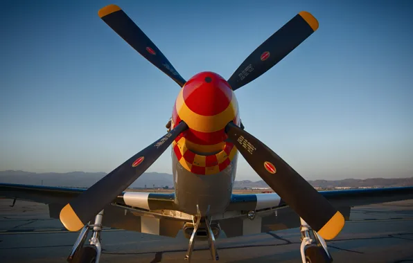 Picture fighter, Mustang, propeller, the airfield