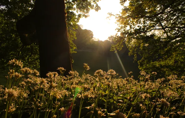 Photography, sun, day, great, Bath Spa