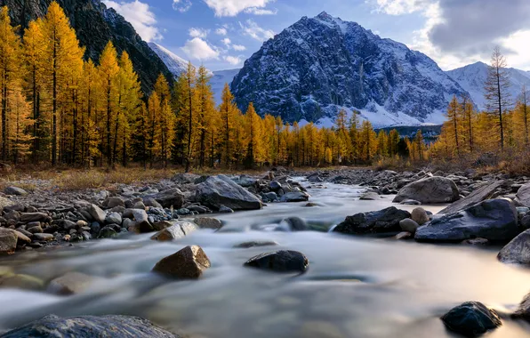 Picture forest, sky, landscape, nature, water, autumn, clouds, snow