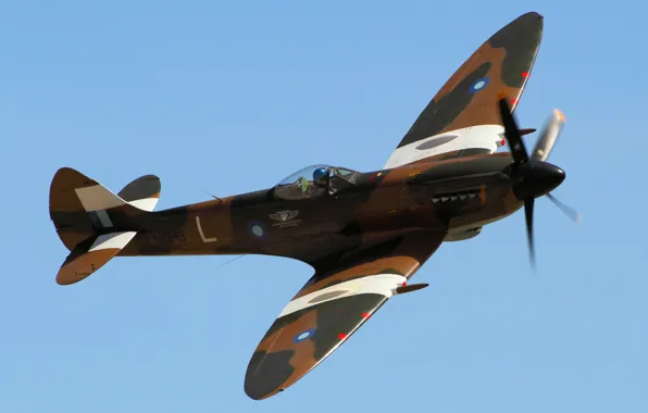 Fighter, British, single-engine, Supermarine, Spitfire Mk. XIV