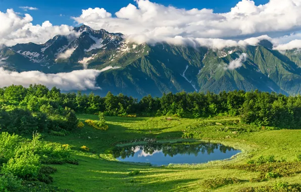 Summer, the sun, clouds, trees, mountains, nature, shadow, Anna Andreeva