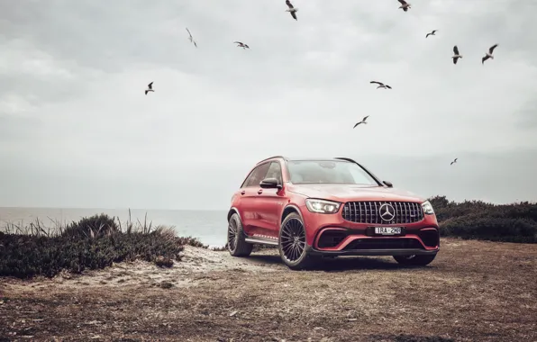 Picture Red, Seagulls, Coast, Car, Mercedes-AMG GLC 63 S 4MATIC+