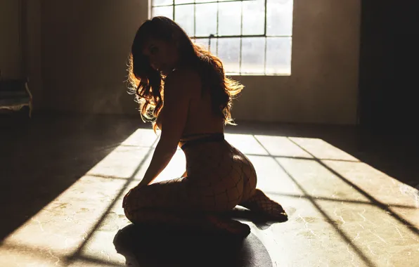Look, girl, light, figure, window