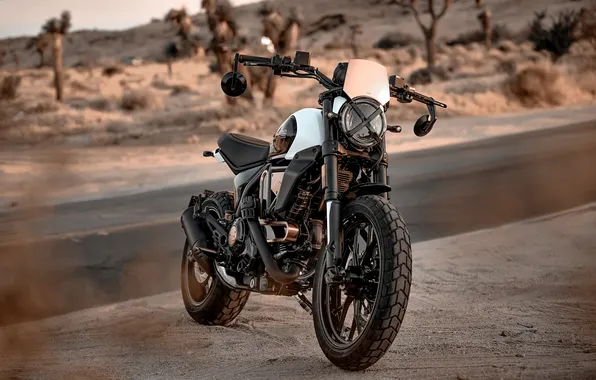 Bikes, 2025, Anniversary Edition, Ducati Scrambler