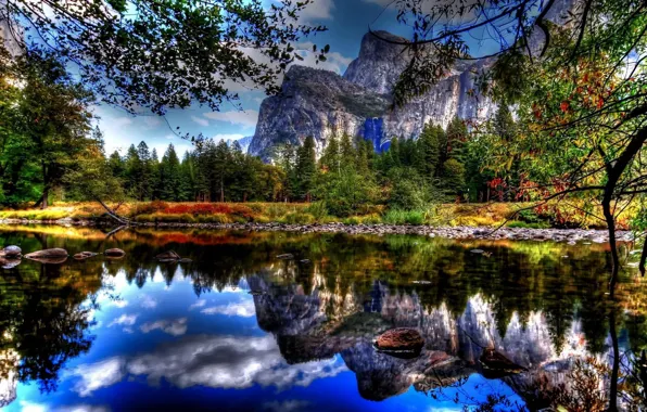 Landscape, water, Forest, hature