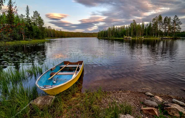 Forest, trees, lake, stones, shore, boat, Norway, island