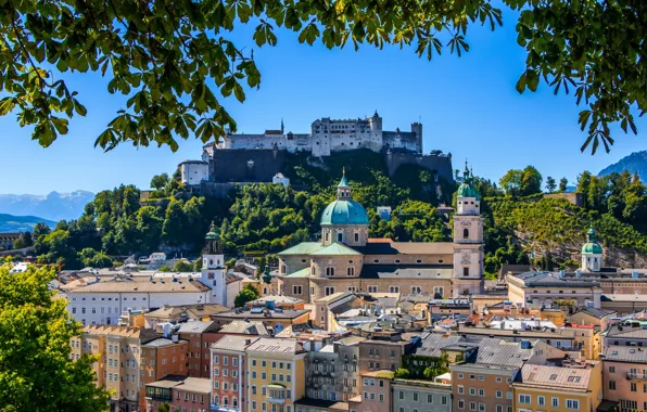 Picture branches, building, Austria, panorama, Cathedral, fortress, Austria, Salzburg