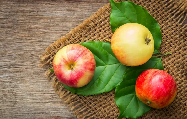 Picture leaves, yellow, red, green, table, apples, Board, trio