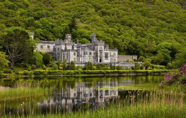 Picture greens, forest, castle, building