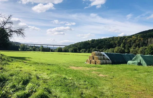 Greens, The sky, Clouds, Field, Bridge, Grass, Forest, Hay