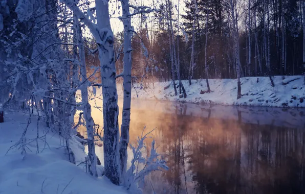 Winter, snow, trees, lake, chill