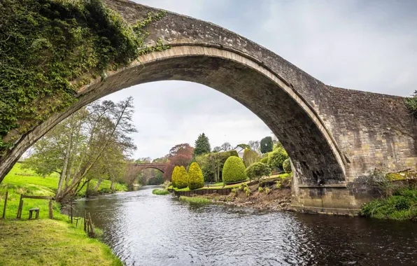 Picture trees, bridge, river, Scotland, Ayrshire, Brig o’ Doon