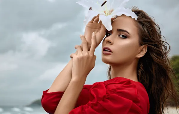 The sky, look, girl, flowers, face, hair, Lily, portrait