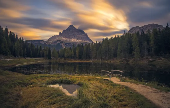 Forest, grass, clouds, light, mountains, lake, rocks, shore
