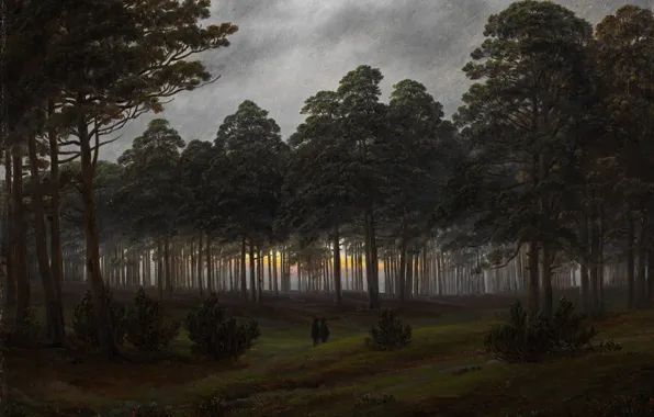 Forest, trees, landscape, The evening, picture, Caspar David Friedrich