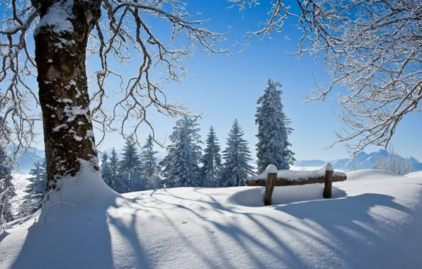 Winter, forest, the sky, snow, landscape, bench, nature, Park