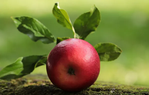 Apple, Red, Red Apple, Fruit