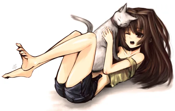 Picture cat, girl, shorts, anime, art, lies, kotoba noriaki