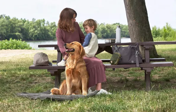 Picture Girl, Dog, Boy, Smile, Golden Retriever, Three, Golden Retriever, Hunting Dog