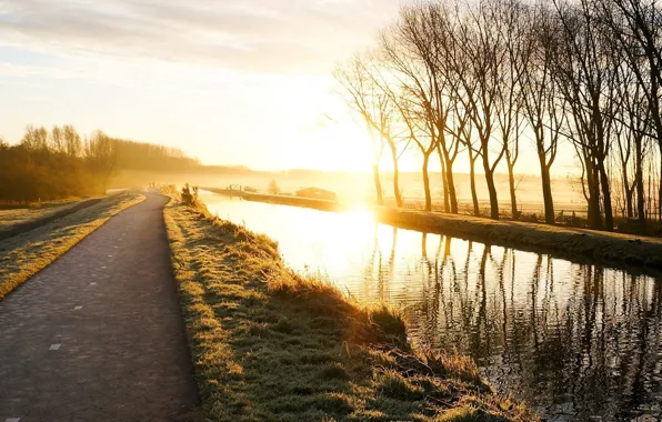 Picture road, greens, grass, water, trees, landscape, branches, nature