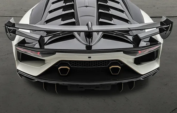 Picture power, supercar, sports car, supercar, Lamborghini Aventador, Mansory, sports car, the only instance