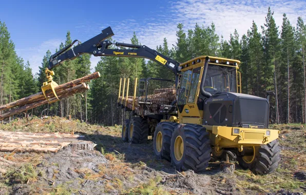 Forest, the sky, trees, yellow, wood, wheel, hemp, loading