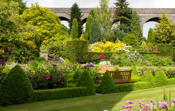 Grass, trees, flowers, design, garden, UK, the bushes, benches