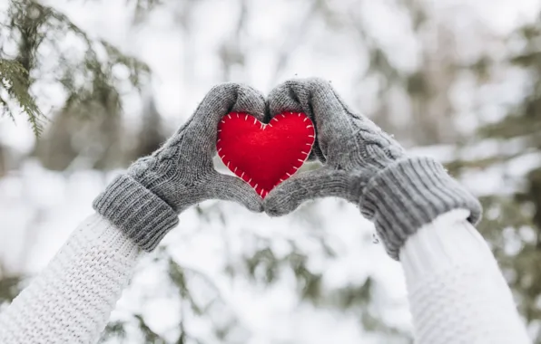 Winter, snow, love, heart, tree, red, love, heart