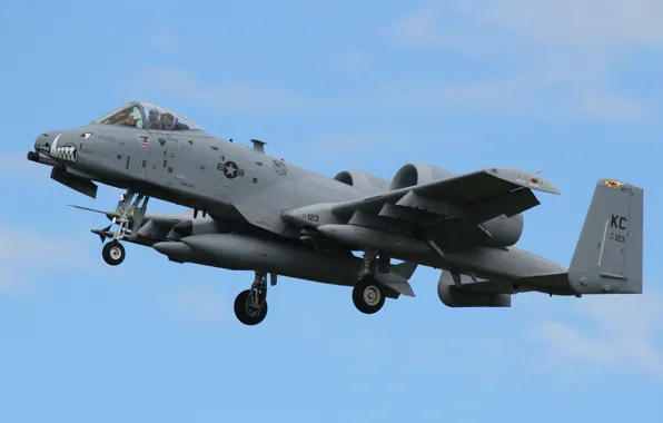Picture attack, A-10, Thunderbolt II, single