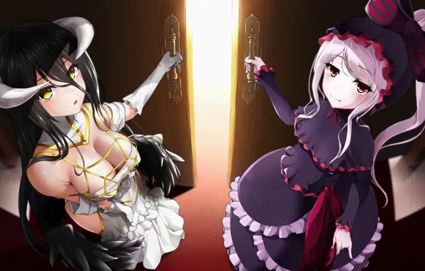 Girls, door, the demon, Overlord, vampire, Albedo, Shalltear Blood Fall