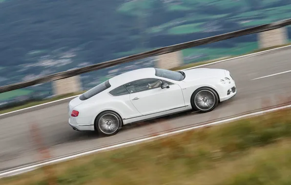Auto, Bentley, Continental, White, GTC, Suite, Side view