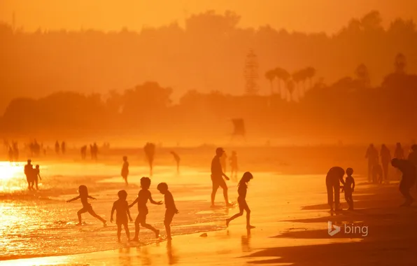 Beach, trees, children, the evening, CA, USA, Coronado