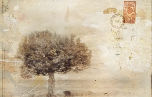 Letter, trees, style, background