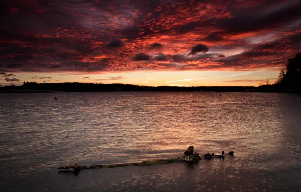 The sky, landscape, sunset, lake