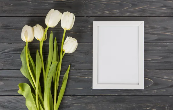 Flowers, tulips, white, white, wood, flowers, beautiful, tulips